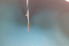 0-02-06-fd1c984d9fcaaf07818e2f025dc46e42d5542abc46bfa25d4256b362a08c2ff7_628084a71ea6fcac