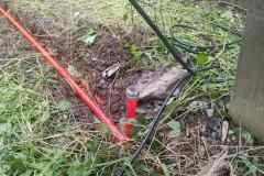 viber_image_2023-08-26_14-34-21-069